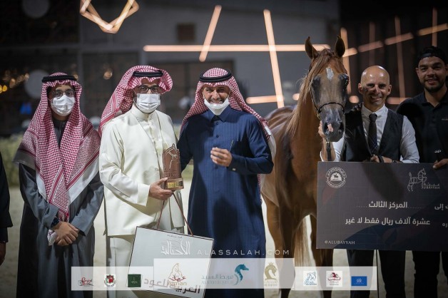 نتائج اليوم الثالث بالصور لبطولة “عبيه2022” ضمن المهرجان السعودي للجواد العربي