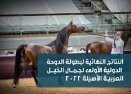 النتائج النهائية لبطولة الدوحة الدولية الأولى لجمال الخيل العربية الأصيلة 2022