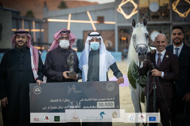 الوردة البيضاء “ايرا دي اكسكالبير” لمربط السيد تحقق فضية الأفراس في بطولة “عبيه ٢٠٢٢”