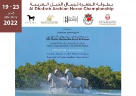 النسخة الثانية لبطولة الظفرة لجمال الخيل العربية تنطلق غدا الاربعاء – البرنامج