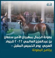 بطولة جمال الخيل العربية بمهرجان الأمير سلطان العالمي 2022 يوم الخميس المقبل – برنامج البطولة
