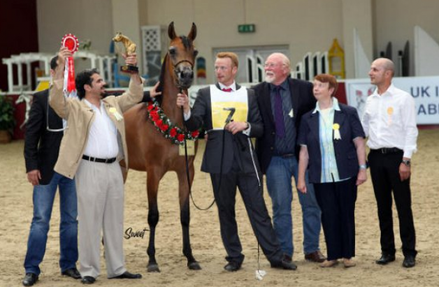 مربط «المعود» يجدد تفوقه دولياً.. ويحصد ثلاث ميداليات في بطولة إنجلترا