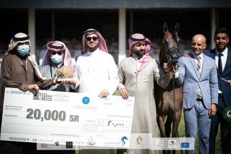 نتائج اليوم الأول بالصور لبطولة جمال الخيل العربية بمهرجان الأمير سلطان 2022