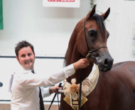 عذبه والخالدية والتتويج بذهب الأمهر والفحول من التشيك