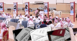 بيع ١٦جواداً بـ ٨٦٠ الف ريال بمزاد التنهاة السابع والعشرون للملاك