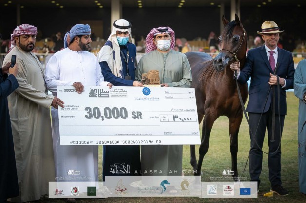 نتائج اليوم الثاني بالصور لبطولة جمال الخيل العربية بمهرجان الأمير سلطان 2022