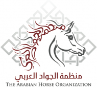 برعاية منظمة الجواد العربي يبدأ اليوم حفل سباق المارثون الاول للخيل العربية الاصيلة