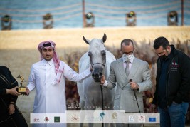 النتائج المصورة لفئات اليوم الثالث من بطولة الخيول الجزيرية العربية ضمن مهرجان كتارا الدولي 2022