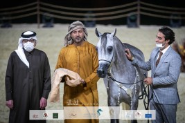 ذهبيتان وفضية لمربط دبي في بطولة الخيول الجزيرية العربية ضمن مهرجان كتارا الدولي ٢٠٢٢