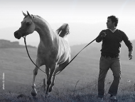 “شيرين باي عايشة” من غير مقدمات (فيديو)