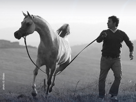 “شيرين باي عايشة” من غير مقدمات (فيديو)