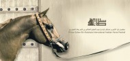 برنامج بطولة جمال الخيل بمهرجان الأمير سلطان بن عبدالعزيز العالمي للجواد العربي 2019