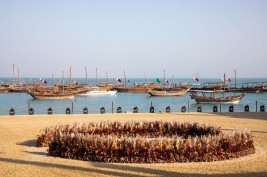 38 جواداً في مزاد كتارا للخيل العربية الأصيلة مساء اليوم الاثنين