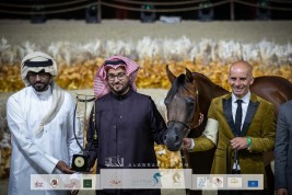 نتائح اليوم الأول بالصور لبطولة كتارا الدولية “تايتل شو” 2022 لجمال الخيل العربية