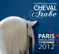 بطولة العالم في باريس و قوانيين جديدة “أعمار السنة لعدد ٢٠ فأكثر و البطل البلاتيني..”