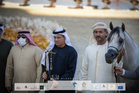 نتائح اليوم الثاني بالصور لبطولة كتارا الدولية “تايتل شو” 2022 لجمال الخيل العربية