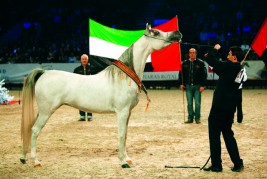 الفرس “إف تي شيلة” تذكر باريس ببريقها الذهبي لعام ٢٠١٠