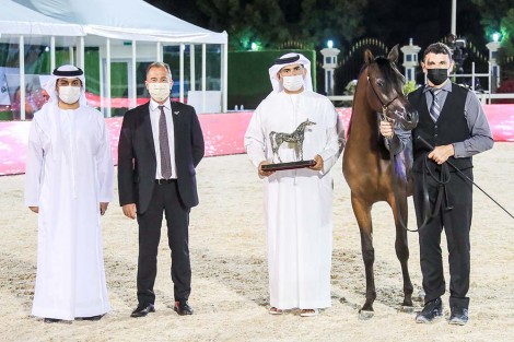نتائج اليوم الثاني لبطولة أبوظبي الدولية للخيل العربية 2022