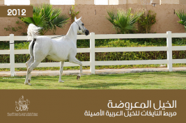 مربط النايفات يعرض ١٧ رأس من خيله العربية الأصيلة للبيع!