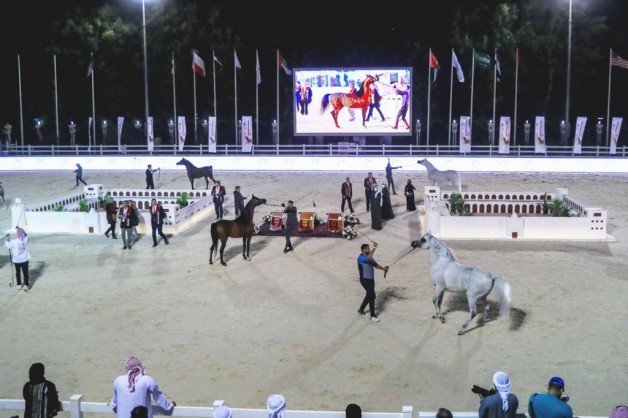زايد بن حمد يتوج الفائزين في ختام دولية أبوظبي لجمال الخيل 2022