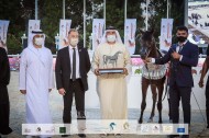 3 ألقاب فضية لإسطبلات الأريام في بطولة أبوظبي الدولية للخيل العربية 2022