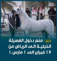 منع دخول الفصيلة الخيلية الى الرياض من 17 فبراير الى 1 مارس