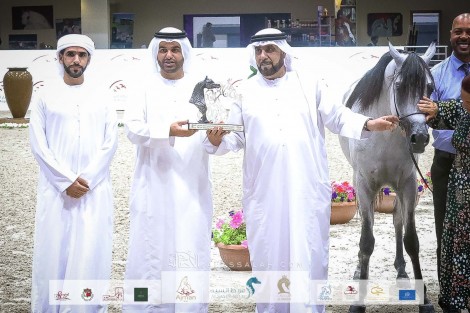 صور مقتطفة من مهرجان الشارقة الدولي للجواد العربي 2022