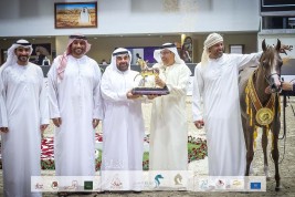 مربط دبي ينال نصف الألقاب الذهبية بمهرجان الشارقة الدولي للجواد العربي 2022
