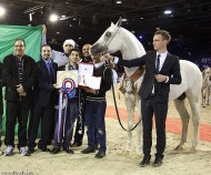 باشا: بطولات«الخالدية» فخر للوطن.. وإنجاز «الخطاب» صعّب مهمة «الصواري»
