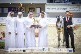 4 ألقاب ملونة لمربط عجمان في ختام مهرجان الشارقة الدولي للجواد العربي 2022