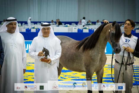 نتائج اليوم الأول بالصور لبطولة دبي الدولية للجواد العربي 2022