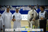 نتائج اليوم الثاني بالصور لبطولة دبي الدولية للجواد العربي 2022