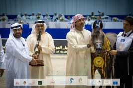 هاترك ذهبي وفضيتان لمربط دبي في ختام دولية دبي للجواد العربي 2022