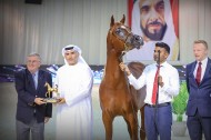 نتائج اليوم الأول بالصور لبطولة العرب لمربي الخيل العربية 2022