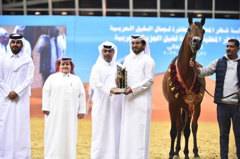النتائج النهائية لبطولة قطر المحلية العاشرة لجمال الخيل العربية