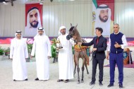 «دبي» يواصل تألقه ويحقق ثلاثة ألقاب في بطولة العرب لمربي الخيل العربية 2022
