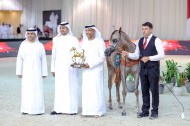 ذهبية وفضية لمربط عجمان في بطولة العرب لمربي الخيل العربية 2022