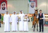 النتائج النهائية بالصور لبطولة العرب لمربي الخيل العربية 2022