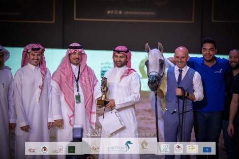 نتائج وصور جميع فئات بطولة المملكة لجمال الخيل المصرية “كحيلة” 2022