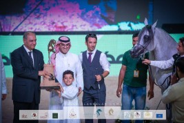 “سلام أكمل” يحلق عالياً ويتوشح بذهب الأمهار في ختام بطولة “كحيلة” للخيل المصرية