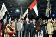 مربط دبي للخيل العربية الأصيلة يسجل بصمات ذهبية في عام ٢٠١٢