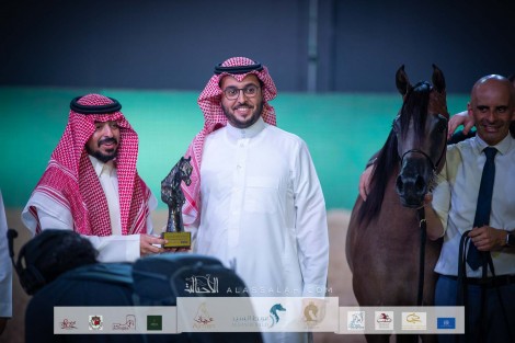 نتائج اليوم الأول لبطولة المملكة الدولية لجمال الخيل العربية “كحيلة” 2022