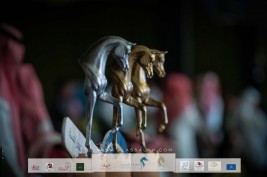 جمهور بطولة المملكة الدولية للخيل العربية الأصيلة ” كحيلة” 2022 بين إشادة للجهود وانتقاد محب.! فيديو