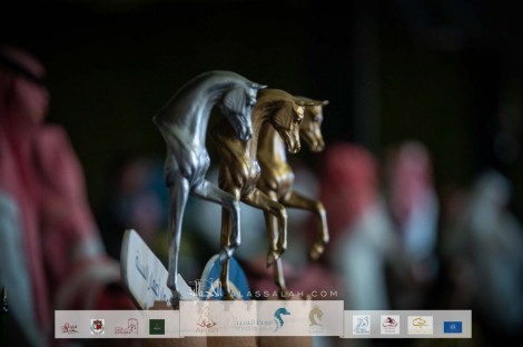 صور مقتطفة من اليوم الثاني من فعاليات بطولة كحيلة الدولية ٢٠٢٢