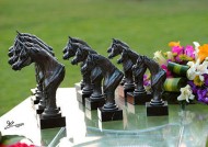 عمار النعيمي يشهد انطلاق بطولة عجمان لجمال الخيل والهدف الأسمى تشجيع الملاك المواطنين