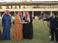 النتائج النهائية لبطولة جمال الخيل السعودية