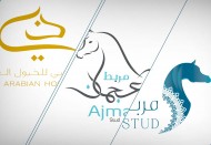 «دبي» و «عجمان» و «السيد» هم أفضل المرابط إنتاجاً حول العالم .! حسب رأي الجمهور في كحيلة ٢٠٢٢