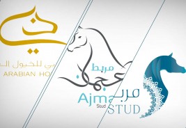 «دبي» و «عجمان» و «السيد» هم أفضل المرابط إنتاجاً حول العالم .! حسب رأي الجمهور في كحيلة ٢٠٢٢