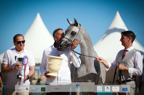 نتائج اليوم الأول لبطولة منتون الدولية للخيل العربية 2022