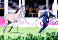 «عاديات الجمال» تستعرض فنونها على أرض «الخالدية»